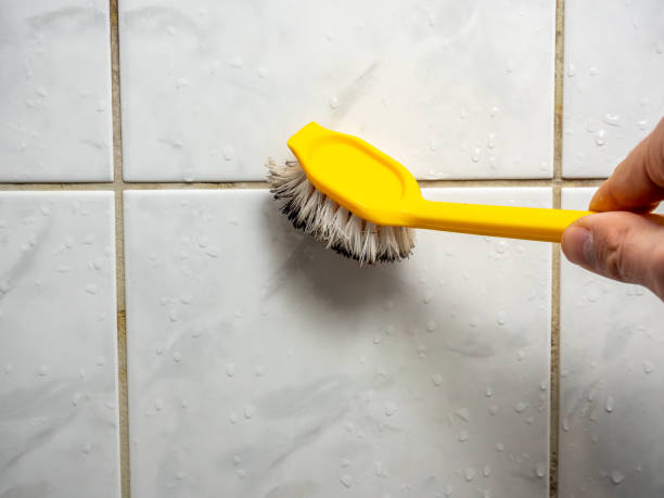 Certified Mold Removal in Inverness Highlands South, FL