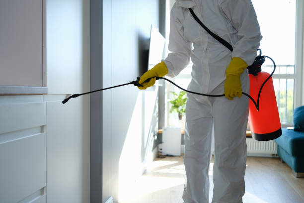 Best Best Mold Removal Companies  in Inverness Highlands South, FL