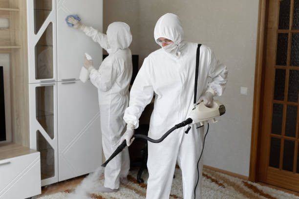 Best Certified Mold Removal  in Inverness Highlands South, FL